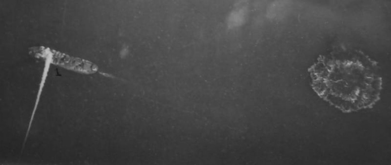 Иллюстрация к книге — Черноморский флот в Великой Отечественной войне. Краткий курс боевых действий [i_117.jpg]