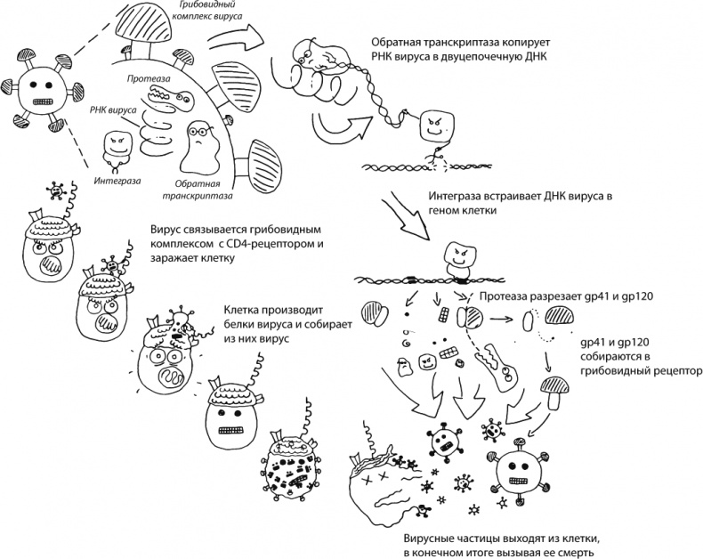 Иллюстрация к книге — В интернете кто-то неправ! Научные исследования спорных вопросов [_095.jpg]