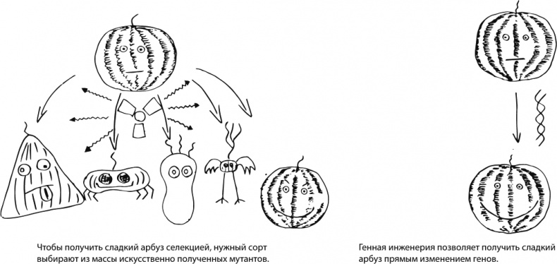 Иллюстрация к книге — В интернете кто-то неправ! Научные исследования спорных вопросов [_136.jpg]