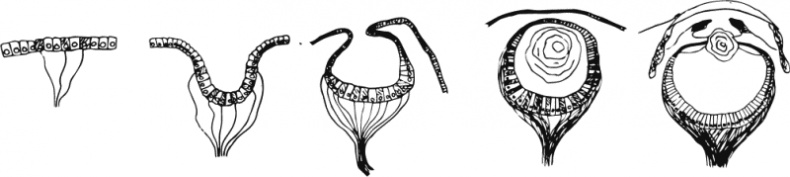 Иллюстрация к книге — В интернете кто-то неправ! Научные исследования спорных вопросов [_172.jpg]