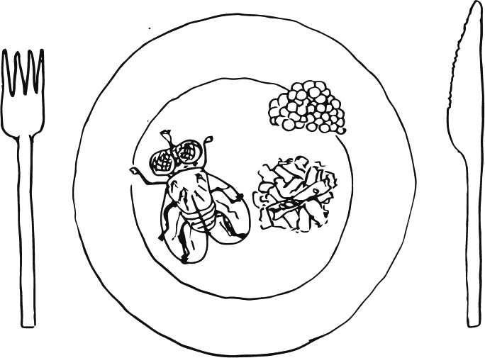 Иллюстрация к книге — В интернете кто-то неправ! Научные исследования спорных вопросов [_219.jpg]