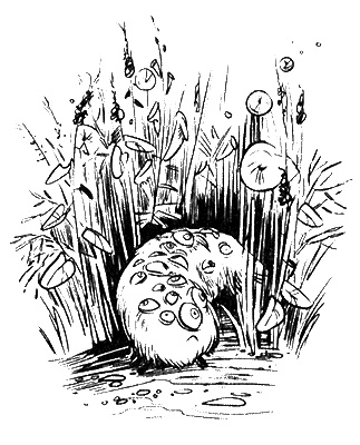 Иллюстрация к книге — Космотехнолухи. Том 1 [i_003.jpg]