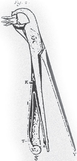 Иллюстрация к книге — Монстролог. Ступени, ведущие в бездну [_1.jpg]