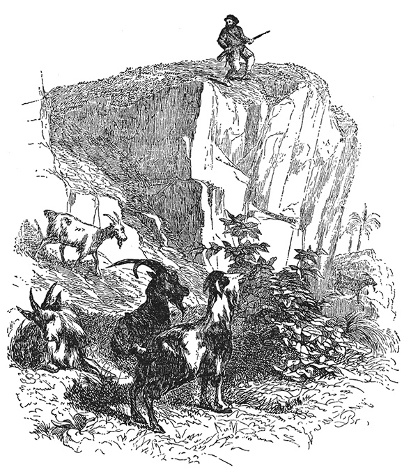 Иллюстрация к книге — Робинзон Крузо. Дальнейшие приключения Робинзона Крузо [i_010.jpg]