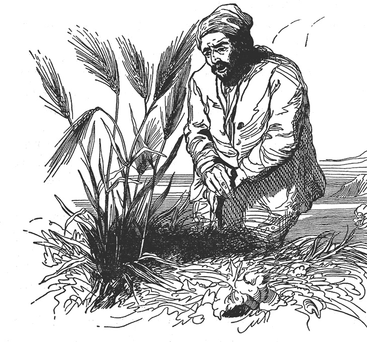 Иллюстрация к книге — Робинзон Крузо. Дальнейшие приключения Робинзона Крузо [i_014.jpg]