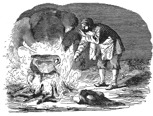 Иллюстрация к книге — Робинзон Крузо. Дальнейшие приключения Робинзона Крузо [i_019.jpg]