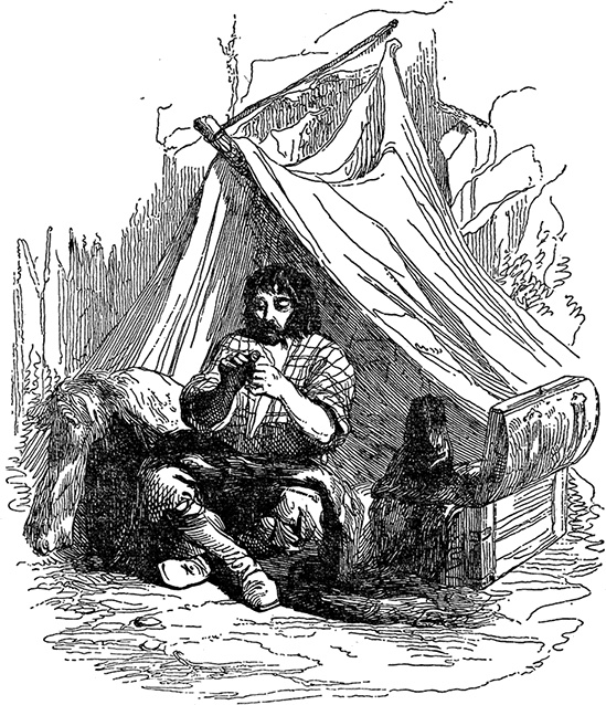 Иллюстрация к книге — Робинзон Крузо. Дальнейшие приключения Робинзона Крузо [i_021.jpg]