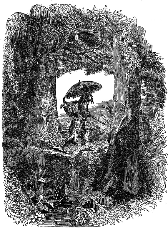 Иллюстрация к книге — Робинзон Крузо. Дальнейшие приключения Робинзона Крузо [i_026.jpg]