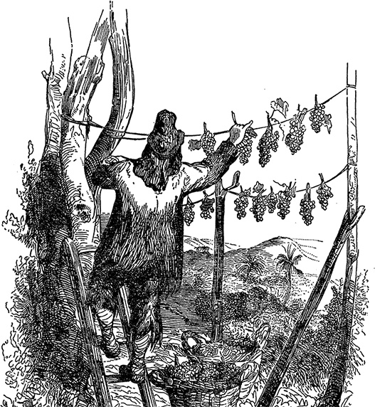 Иллюстрация к книге — Робинзон Крузо. Дальнейшие приключения Робинзона Крузо [i_027.jpg]