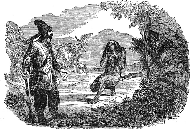 Иллюстрация к книге — Робинзон Крузо. Дальнейшие приключения Робинзона Крузо [i_038.jpg]