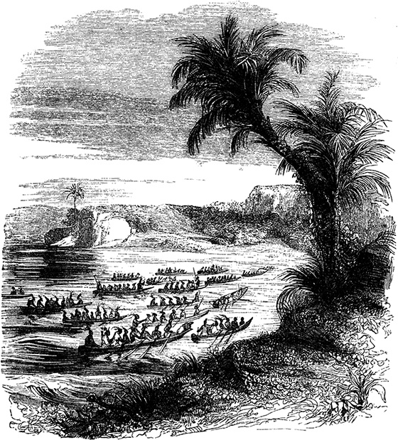 Иллюстрация к книге — Робинзон Крузо. Дальнейшие приключения Робинзона Крузо [i_084.jpg]