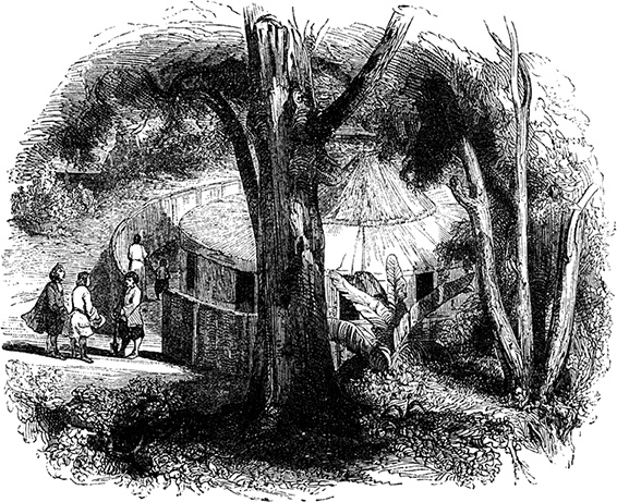 Иллюстрация к книге — Робинзон Крузо. Дальнейшие приключения Робинзона Крузо [i_089.jpg]