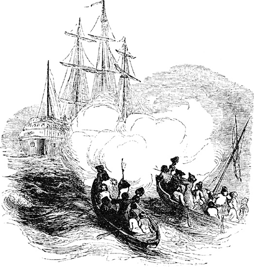 Иллюстрация к книге — Робинзон Крузо. Дальнейшие приключения Робинзона Крузо [i_116.jpg]