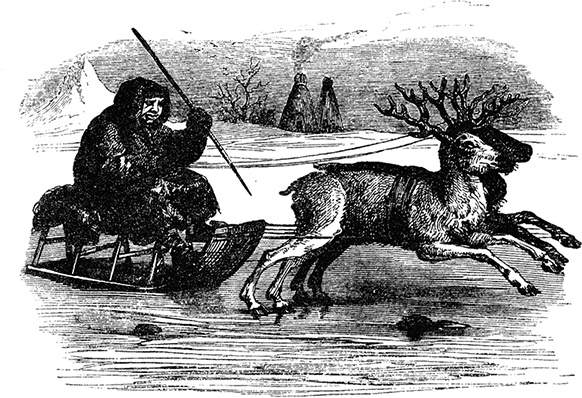 Иллюстрация к книге — Робинзон Крузо. Дальнейшие приключения Робинзона Крузо [i_135.jpg]