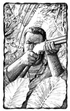 Иллюстрация к книге — Под Южным Крестом [pic_9.jpg]