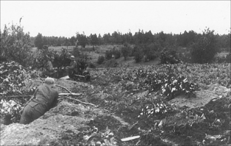 Иллюстрация к книге — Битва за Ленинград. Неизвестная оборона [str247.jpg]