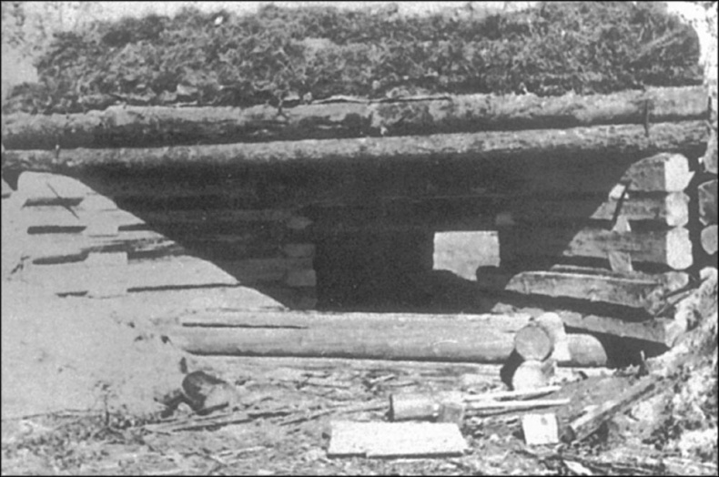 Иллюстрация к книге — Битва за Ленинград. Неизвестная оборона [str61.jpg]