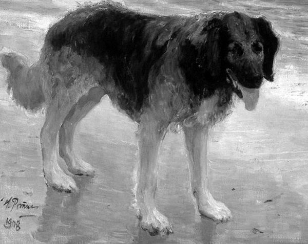 Иллюстрация к книге — «Возвращение чудотворной» и другие рассказы [i_020.jpg]