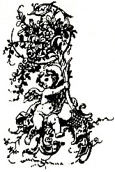 Иллюстрация к книге — Великие любовницы [i_001.jpg]