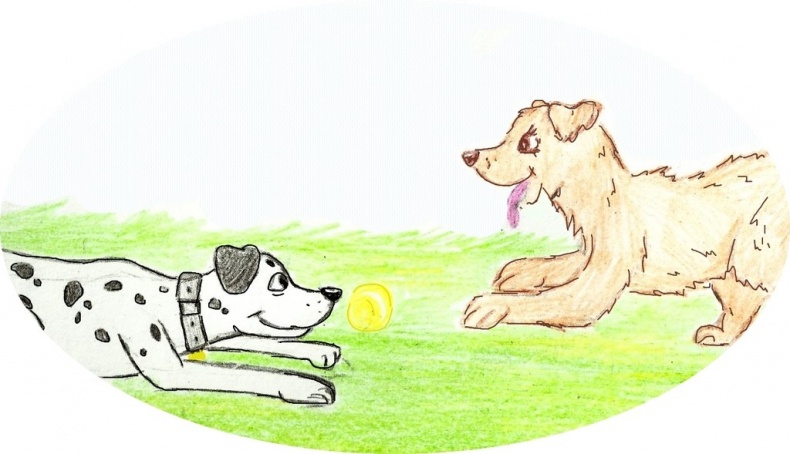 Иллюстрация к книге — Джули. Её мечты и приключения [images_5386f34837eca2b43c8b4598_jpg.jpg]