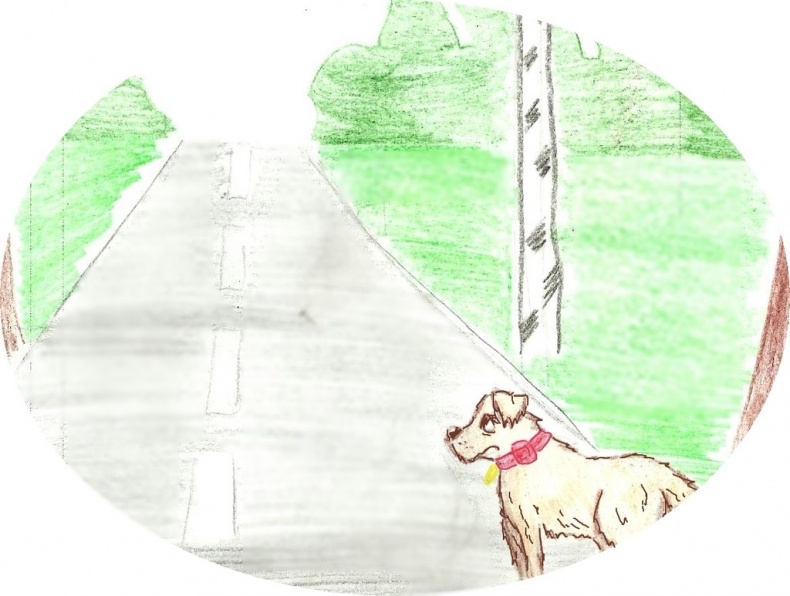 Иллюстрация к книге — Джули. Её мечты и приключения [images_5386f42137eca27e268b458e_jpg.jpg]