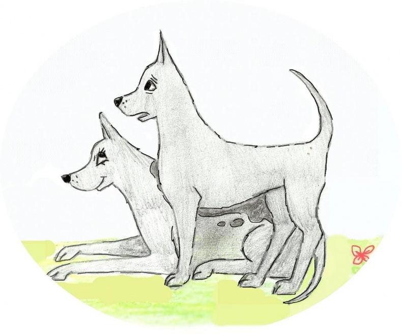 Иллюстрация к книге — Джули. Её мечты и приключения [images_5386f6b737eca2f2728b4568_jpg.jpg]