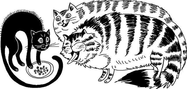 Иллюстрация к книге — Сахарная вата [i_050.jpg]