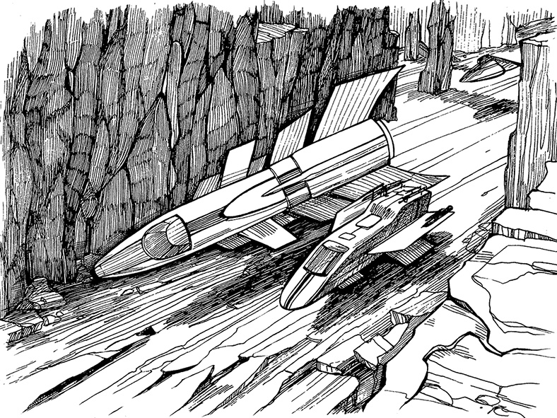 Иллюстрация к книге — Космотехнолухи. Том 2 [i_014.jpg]