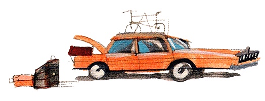 Иллюстрация к книге — Шейла Великолепная [i_003.jpg]