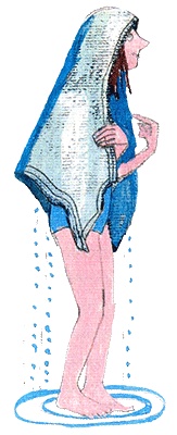 Иллюстрация к книге — Шейла Великолепная [i_040.jpg]