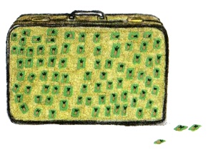 Иллюстрация к книге — Питер обыкновенный, или Младших братьев не выбирают [i_012.jpg]