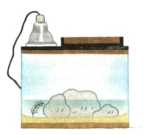 Иллюстрация к книге — Питер обыкновенный, или Младших братьев не выбирают [i_043.jpg]