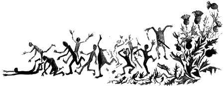 Иллюстрация к книге — Цветник бабушки Корицы [img17.jpg]