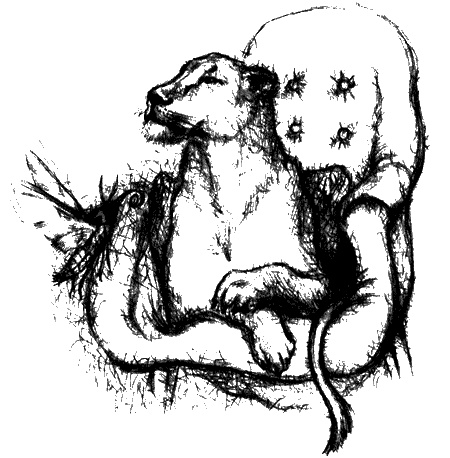 Иллюстрация к книге — Цветник бабушки Корицы [img18.jpg]