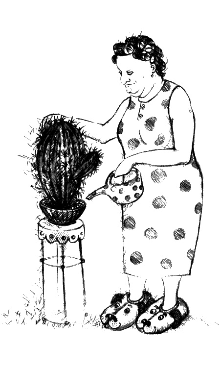 Иллюстрация к книге — Цветник бабушки Корицы [img25.jpg]