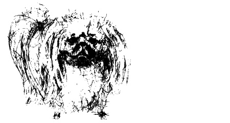 Иллюстрация к книге — Цветник бабушки Корицы [img26.jpg]