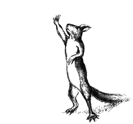 Иллюстрация к книге — Цветник бабушки Корицы [img29.jpg]