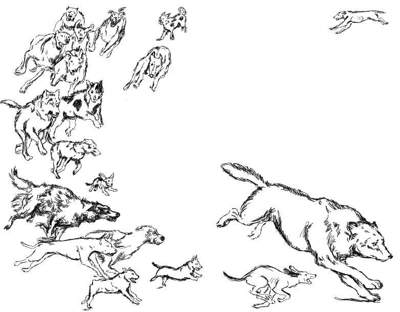 Иллюстрация к книге — Лесная фея, или новые приключения кикиморы Светки Пипеткиной [_072_073.jpg]