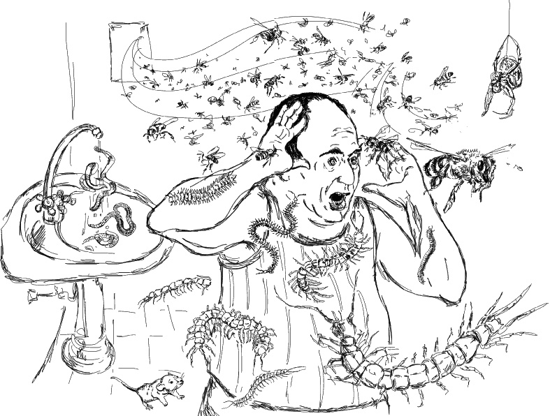 Иллюстрация к книге — Лесная фея, или новые приключения кикиморы Светки Пипеткиной [_144_145.jpg]