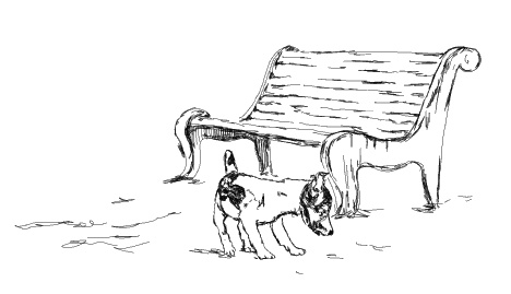 Иллюстрация к книге — Лесная фея, или новые приключения кикиморы Светки Пипеткиной [_181_01.jpg]