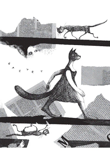 Иллюстрация к книге — Рыцарь, кот и балерина. Приключения эрмитажных котов [pic_3.jpg]