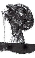 Иллюстрация к книге — Рыцарь, кот и балерина. Приключения эрмитажных котов [pic_7.jpg]