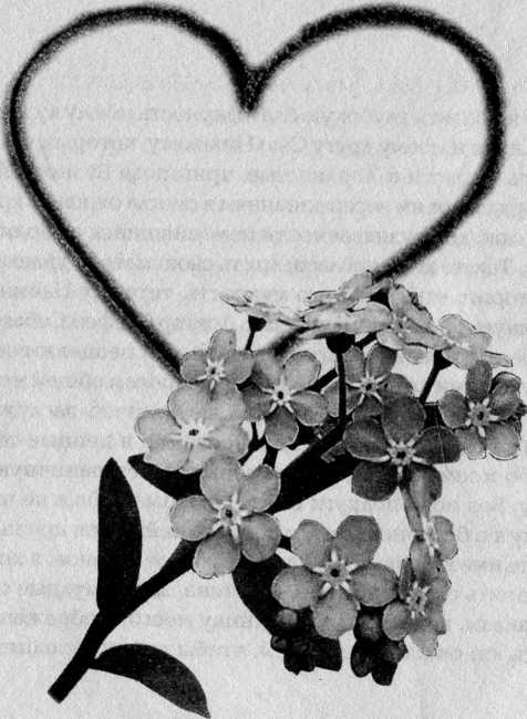 Иллюстрация к книге — Соната незабудки [i_001.jpg]