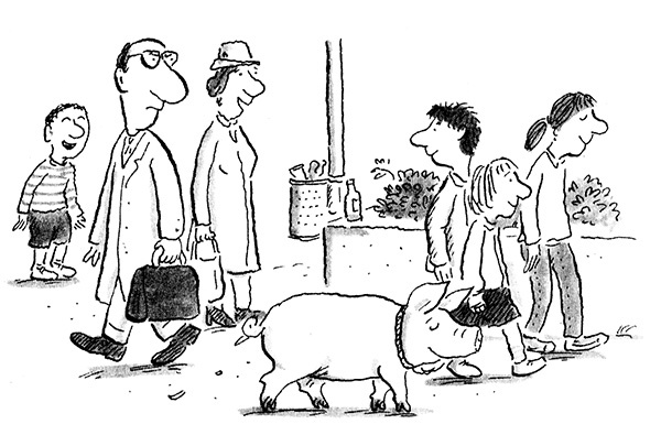 Иллюстрация к книге — Руди-Пятачок [i_010.jpg]