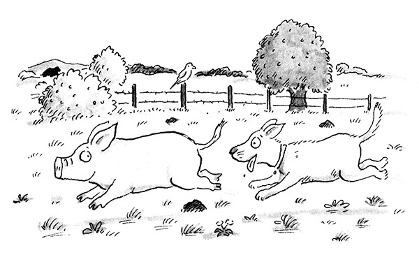 Иллюстрация к книге — Руди-Пятачок [i_011.jpg]