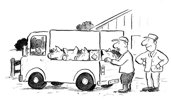 Иллюстрация к книге — Руди-Пятачок [i_016.jpg]