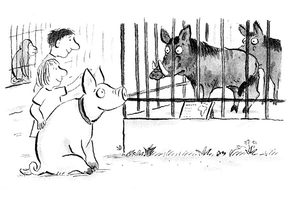 Иллюстрация к книге — Руди-Пятачок [i_018.jpg]