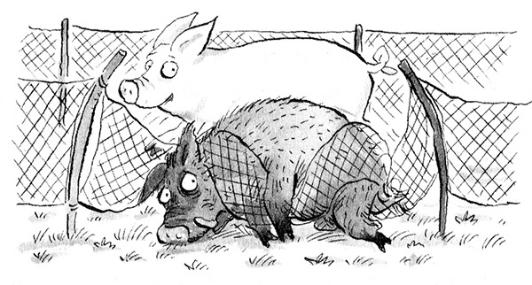 Иллюстрация к книге — Руди-Пятачок [i_029.jpg]