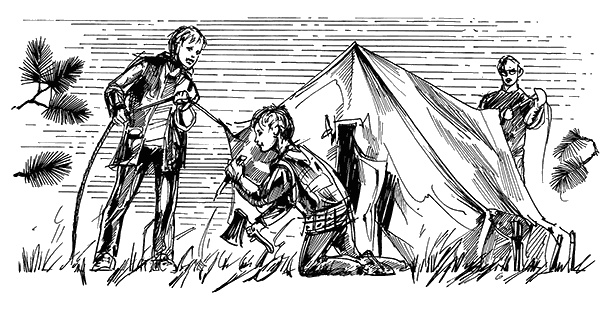 Иллюстрация к книге — Скелеты в тумане [i_001.jpg]