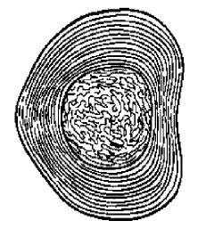 Иллюстрация к книге — Ария для спины. Авторская программа, чтобы никогда не болели суставы [i_005.jpg]